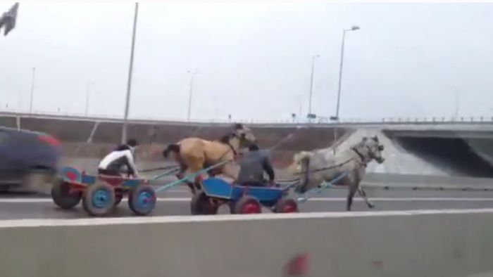VIDEO Liniuță între căruțe! Autostrada Soarelui a fost transformată în hipodrom. Imagini uluitoare