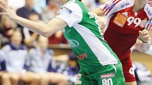 AmbasaDOR de România: "Ministru" pentru austrieci  