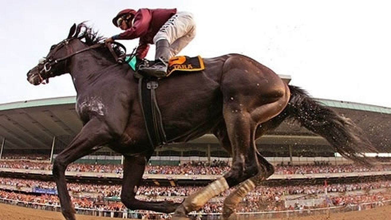 Analiză cu rezultate surprinzătoare:** iepele pot fi mai valoroase decât armăsarii