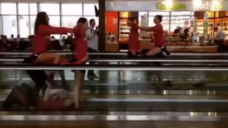 Cuvântul GENIAL nu are nicio valoare în cazul acestui filmuleț. Ce fac niște înotătoare blocate într-un aeroport | VIDEO 