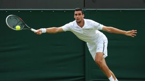 Victor Hănescu s-a calificat în semifinale la Alphen 