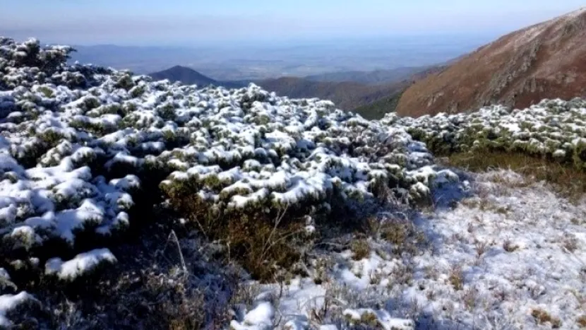 A nins în mijlocul verii! Strat de zăpadă în Munții Rodnei, la peste 2.300 de metri altitudine