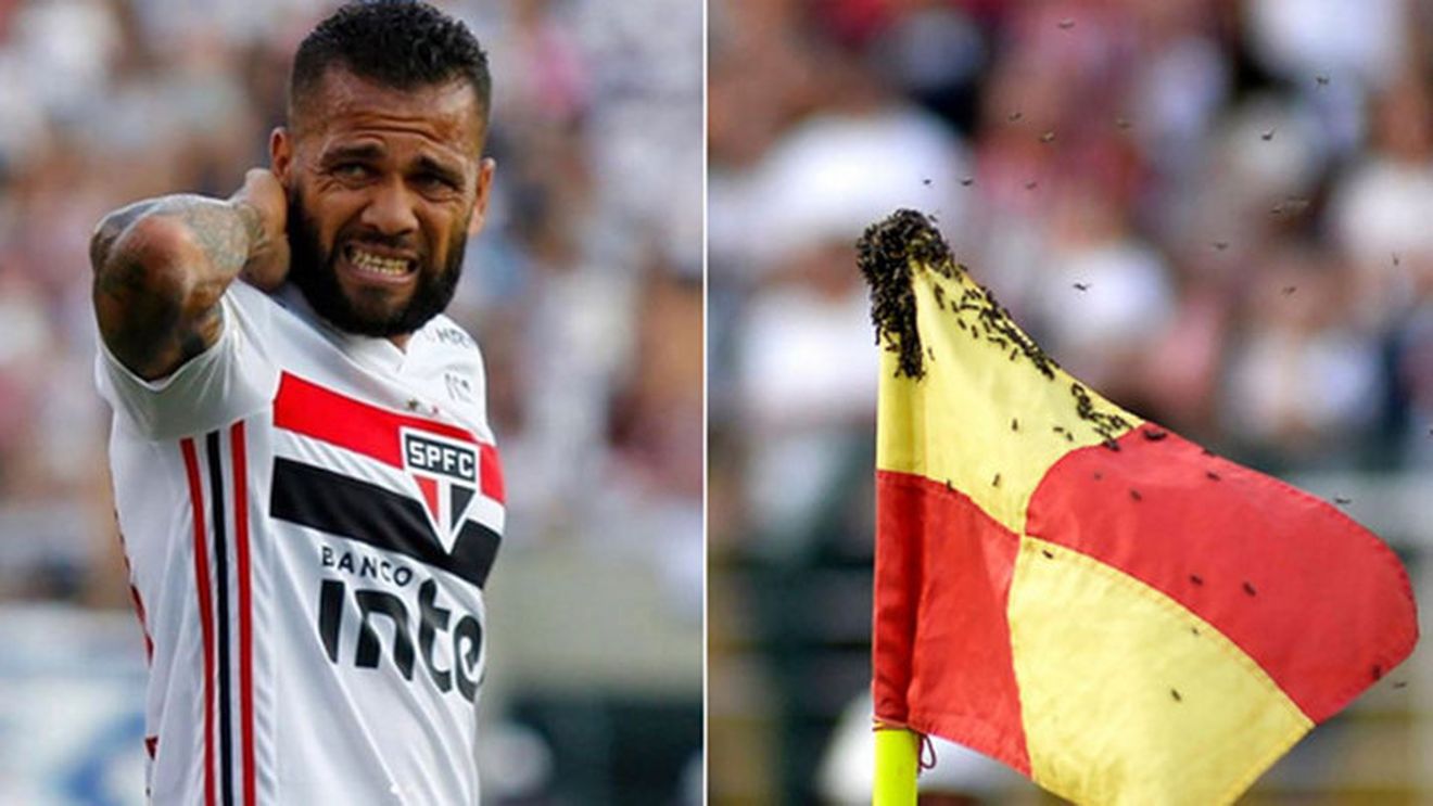 Dani Alves, atacat de un roi de viespi în timpul unui meci din Brazilia. VIDEO | Un adversar și-a tras tricoul pe cap și a salvat situația