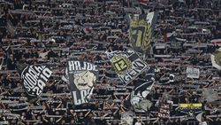 Dinamo confirmă modelul pentru Liga Campionilor dezvăluit de ProSport: „Nu am fost doar eu, ci și alți colegi!”. EXCLUSIV