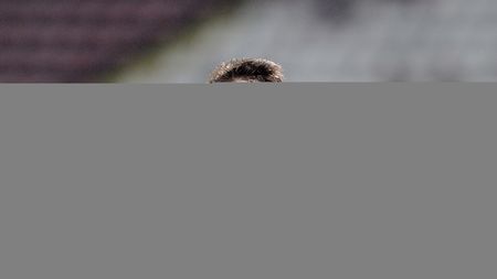 Ionel Dănciulescu a făcut anunțul despre Sergiu Hanca: "Trebuie să fiu sincer și să spun asta". Numele sonore care nu se află pe lista lui Dinamo