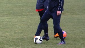 Pleșan promite: "În două săptămâni sunt apt de joc!"