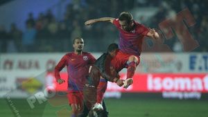 Martinovic și Stanca au fost iertați! ** "Nu vor fi suspendați nicio etapă!" Vezi hotărârile Comisiei de Disciplină: