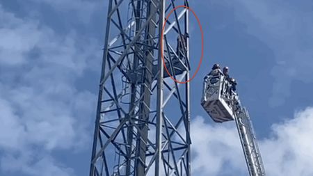 Nemaivăzut! Un bărbat s-a urcat pe stâlpul nocturnei stadionului din Piatra Neamț și a amenințat că se aruncă de acolo