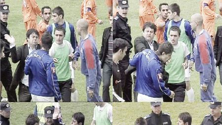 Nervi și palme la Vânju Mare