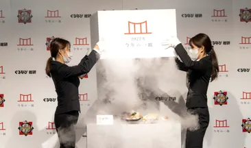 Mâncarea congelată a fost desemnată “felul de mâncare al anului” în Japonia