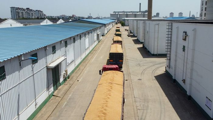 Marele atacant al României a ajuns să muncească pentru francezi într-un depozit din industria minieră: „De la 8 la 14 și de la 16 la 18”