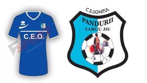 CS Pandurii Târgu Jiu 2013 - 2014: informații generale, lotul de jucători, transferuri și echipa tip