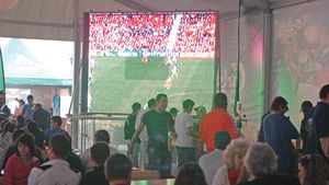 Ecran gigant la Constanța pentru meciul România - Franța