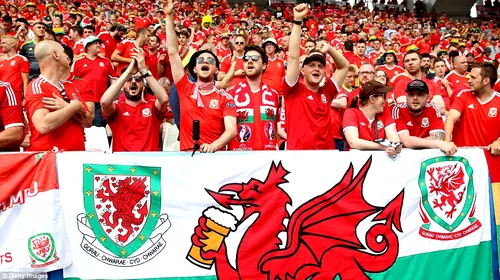 Un fan galez a rămas cu o amintire neplăcută după victoria cu Slovacia. Gareth Bale i-a provocat o fractură de piramidă nazală