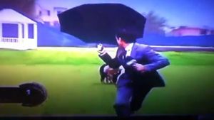 VIDEO AMUZANT** Cum reacționează o lamă care urăște jurnaliștii :))