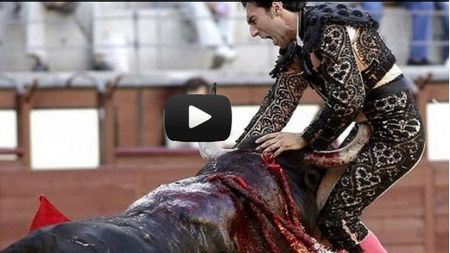 IMAGINI ȘOCANTE!** Mii de oameni au văzut LIVE scenele astea și au fost îngroziți! Motivul pentru care coridele ar trebui interzise