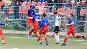 Transferul verii pentru Steaua! Acord cu Hellas Verona