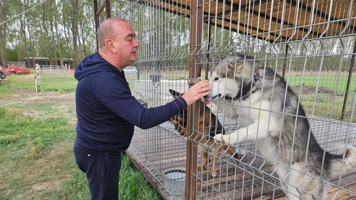 Afaceristul Gigi Nețoiu are câini pe care cere 20.000 de euro și a stârnit curiozitatea celui mai bogat pensionar român: „Păi, ce, au picioare de aur?”