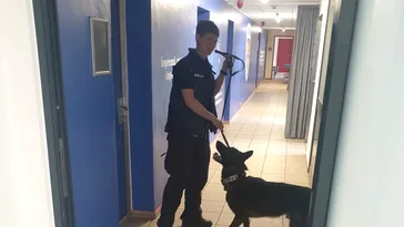 Poliția germană în alertă la antrenamentele naționalei României de la Wurzburg! Vestiarele tricolorilor, verificate cu câini special antrenați antitero! EXCLUSIV FOTO