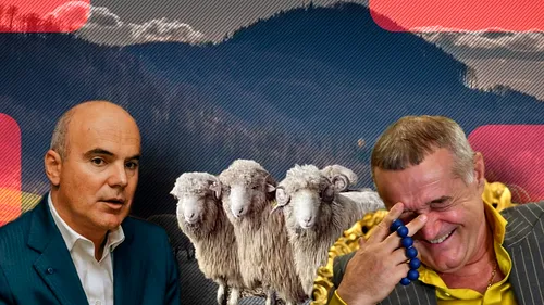 Europarlamentarul care stă gard în gard cu Becali face dezvăluiri spectaculoase: „Bă, Gigi, mută oile, că sunt spre dormitorul meu! Aduce o brânză, un ou” | VIDEO EXCLUSIV