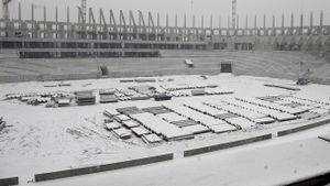 FRF, gata să scoată 1 milion de euro **pentru a aduce Brazilia sau Argentina la București!