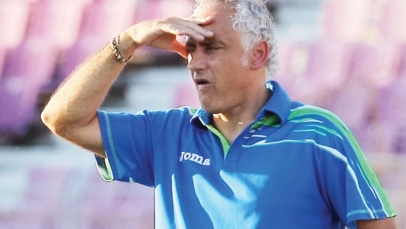 Mandorlini, pe făraș?