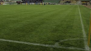 Gazonul stadionului din Vaslui a fost curățat de zăpadă cu ajutorul deținuților