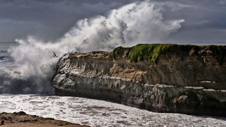 FOTO - Instantaneul anului! A sărit de pe o stâncă pentru că întârzia la un concurs de surf