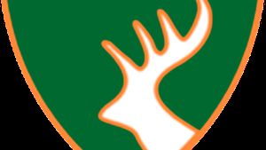 Forex primește întăriri fără voie