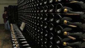 Antrenorii Ligii 1 șochează din nou!** "Nu le interzic jucătorilor să bea, ba chiar le dau niște vin înainte de meci!"