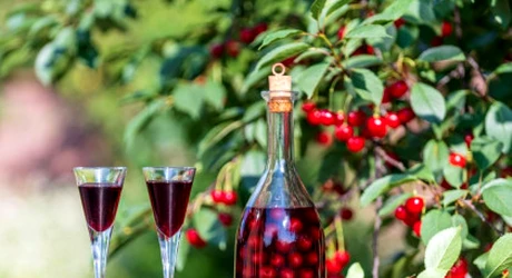 Festivalul CIREȘELOR din Michigan se confruntă cu o criză agricolă. Cu ce se LUPTĂ fermierii?