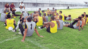 Ibis, ciuca bătăii