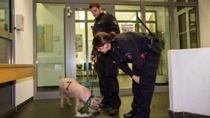 Cea mai tare fază a săptămânii! Polițiștii germani au "arestat" un...porc! :) Cum s-a ajuns la această întâmplare