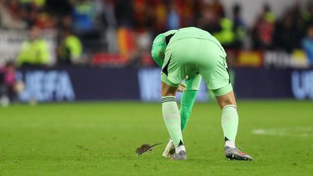 Moment de-a dreptul incredibil: un şobolan a invadat terenul în Țara Galilor - Belgia din preliminariile CM 2026