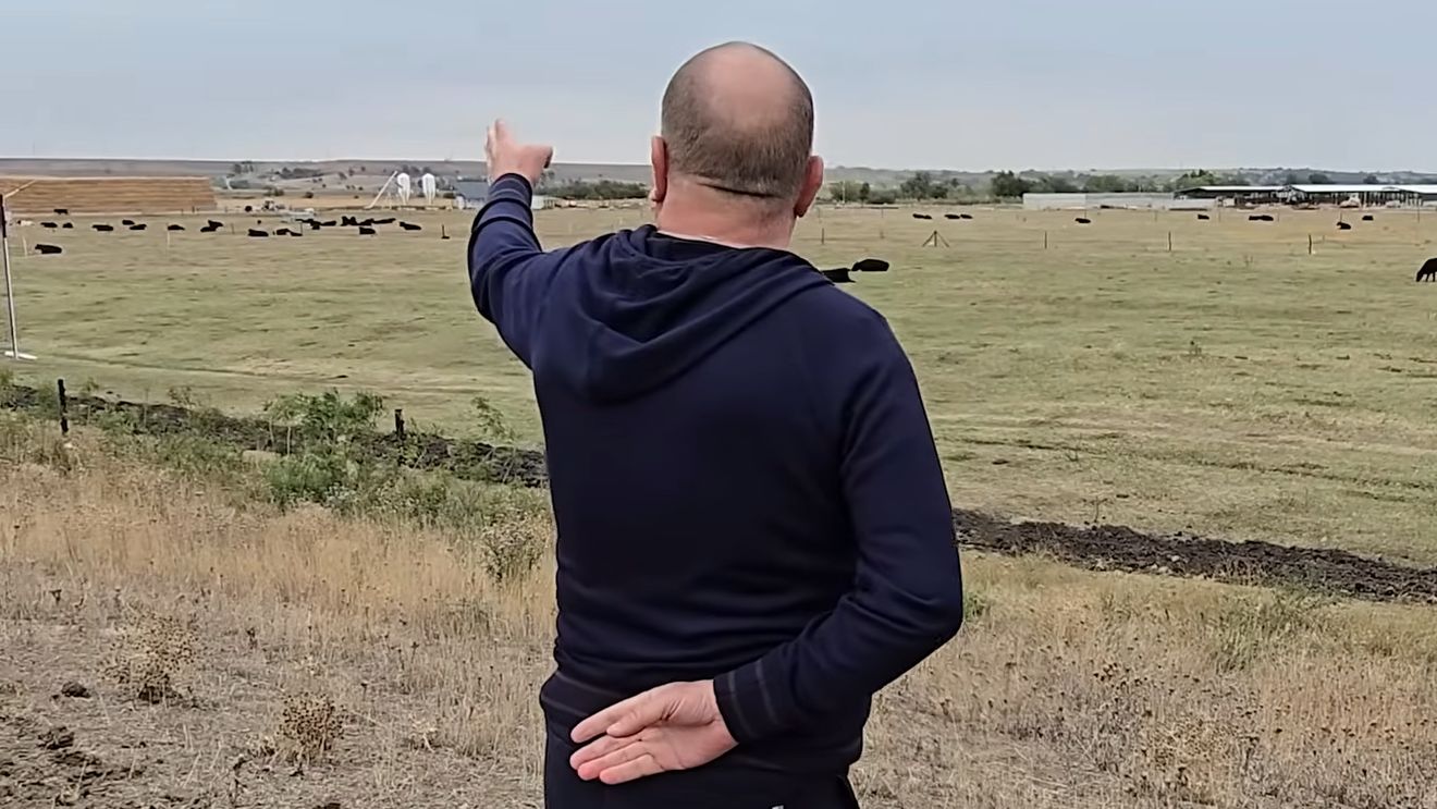 Un milionar român a cumpărat masiv terenuri în Lunca Dunării, dar afacerea cu care vrea să se îmbogățească e lovită crunt de haitele de șacali!