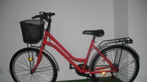 TRECI PE VERDE CU BICICLETA ROSIE!