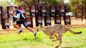 VIDEO** "Mașina de eseuri" țintește AURUL la CM! Habana, umăr la umăr cu un ghepard