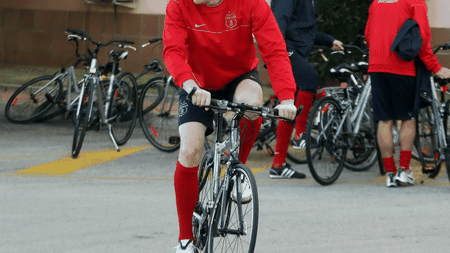 Dorin Goian, între Sunderland și Tottenham!