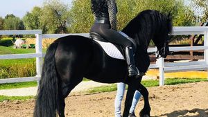 Cât a plătit soția lui Ilie Năstase pe armăsarul Cezar! Se trage din părinți campioni, premiați la competițiile internaționale