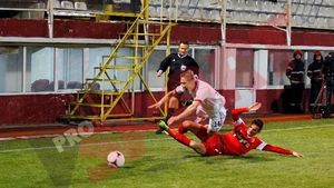 Rapidiștii acuză arbitrajul lui Avram:** "Meritam un penalty, arbitrul a judecat diferit situații similare"