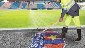 Huliganul bagă Steaua în gura UEFA! Ce riscă Steaua după acțiunile iresponsabile ale lui Mihai Stoica