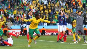 VIDEO 3D** LES MISERABLES! Franța - Africa de Sud 1-2