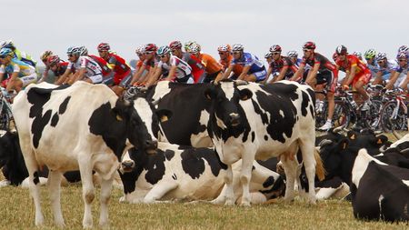 FOTO Vezi imagini superbe din Turul Franței! Tour de photos