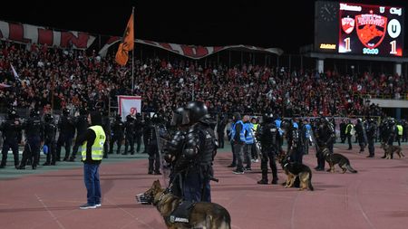 Reacția celor de la Dinamo, după ce rivalii de la Rapid au fost controlați „la sânge” de către Jandarmerie: „M-a șocat” | VIDEO EXCLUSIV ProSport Live