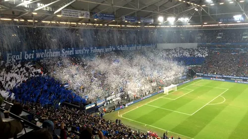 Un suporter al echipei Schalke 04, condamnat la 18 luni de închisoare