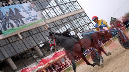 Se dărâmă Hipodromul. Ploieștiul va avea o nouă arenă modernă. Cât va costa și când ar putea avea din nou loc curse de cai