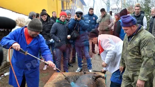 Asta este Liga I festivă!** Echipa care se unește de Crăciun și pe care nu ai fi ghicit-o în loturile din campionat! Vezi cu cine sunt colegi Ricardo Cadou și ColinDidi :)