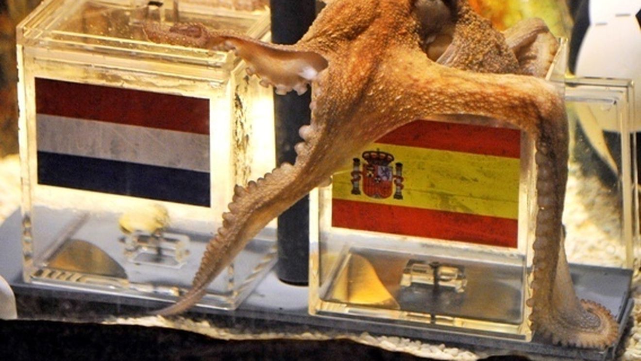 Nu va prinde Euro 2012! "Oracolul" Mondialului se retrage din activitatea de prezicător! :)