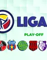 Derby Argeș – Steaua în prima rundă din play-off-ul Ligii 2. Avem programul turneului care determină promovatele și echipele care merg în barajele pentru SuperLigă