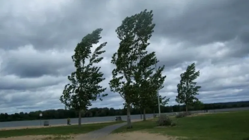 Prognoza meteo 23 februarie 2020! Vreme anormal de caldă și vijelii în toată țara